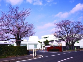 国保匝瑳市民病院
