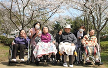 お花見ドライブ